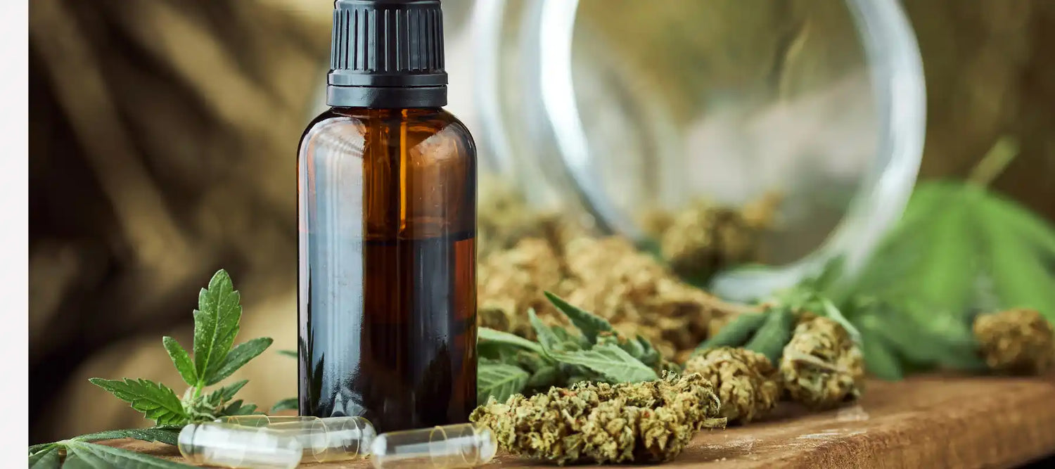 Medizinisches Cannabis: Nebenwirkungen und Wirkung einer besonderen Pflanze