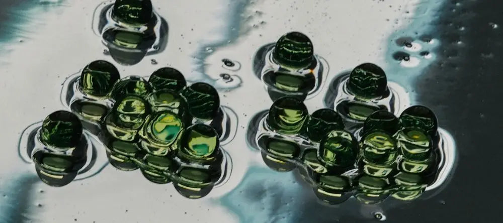 Cannabis bei Krebs – wie kann die Therapie unterstützen?