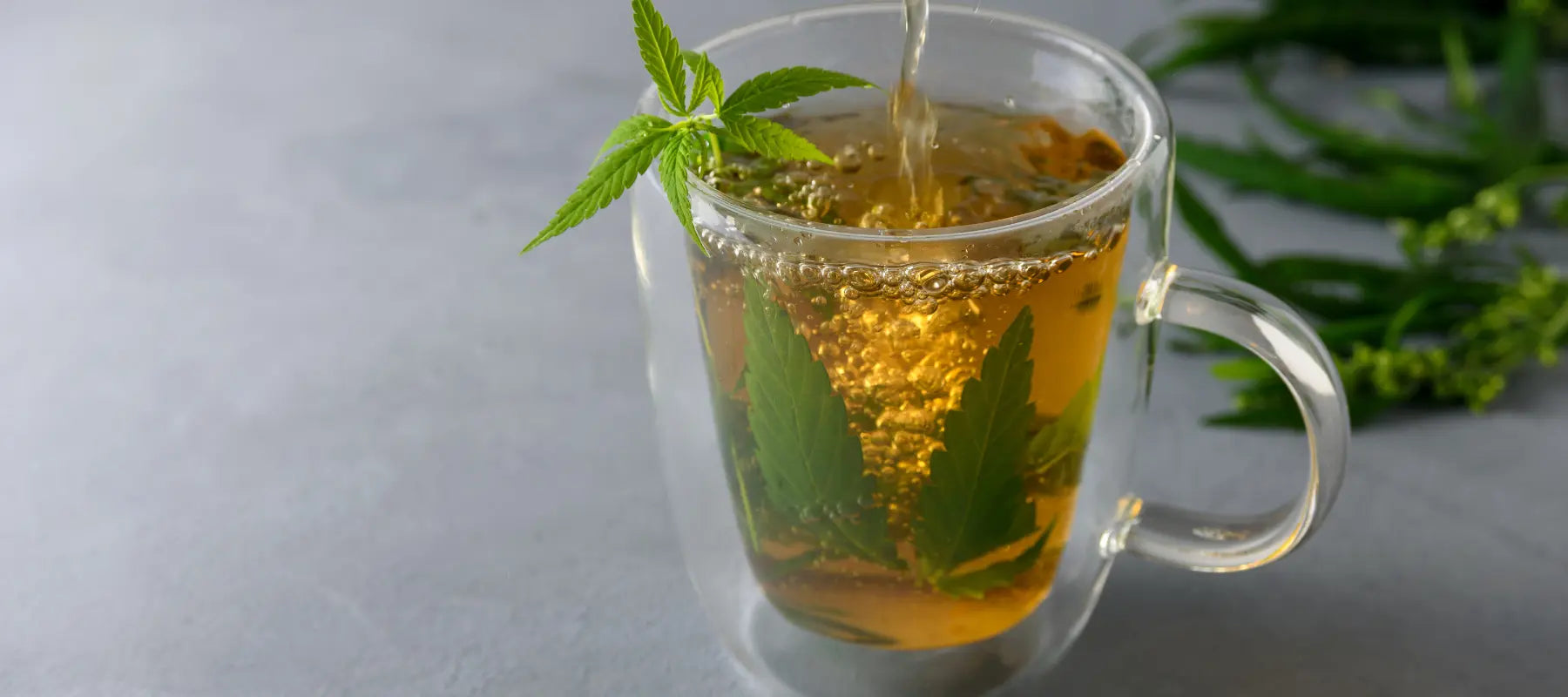 Cannabis Tee: mögliche Wirkung, Zubereitung und Dosierungstipps