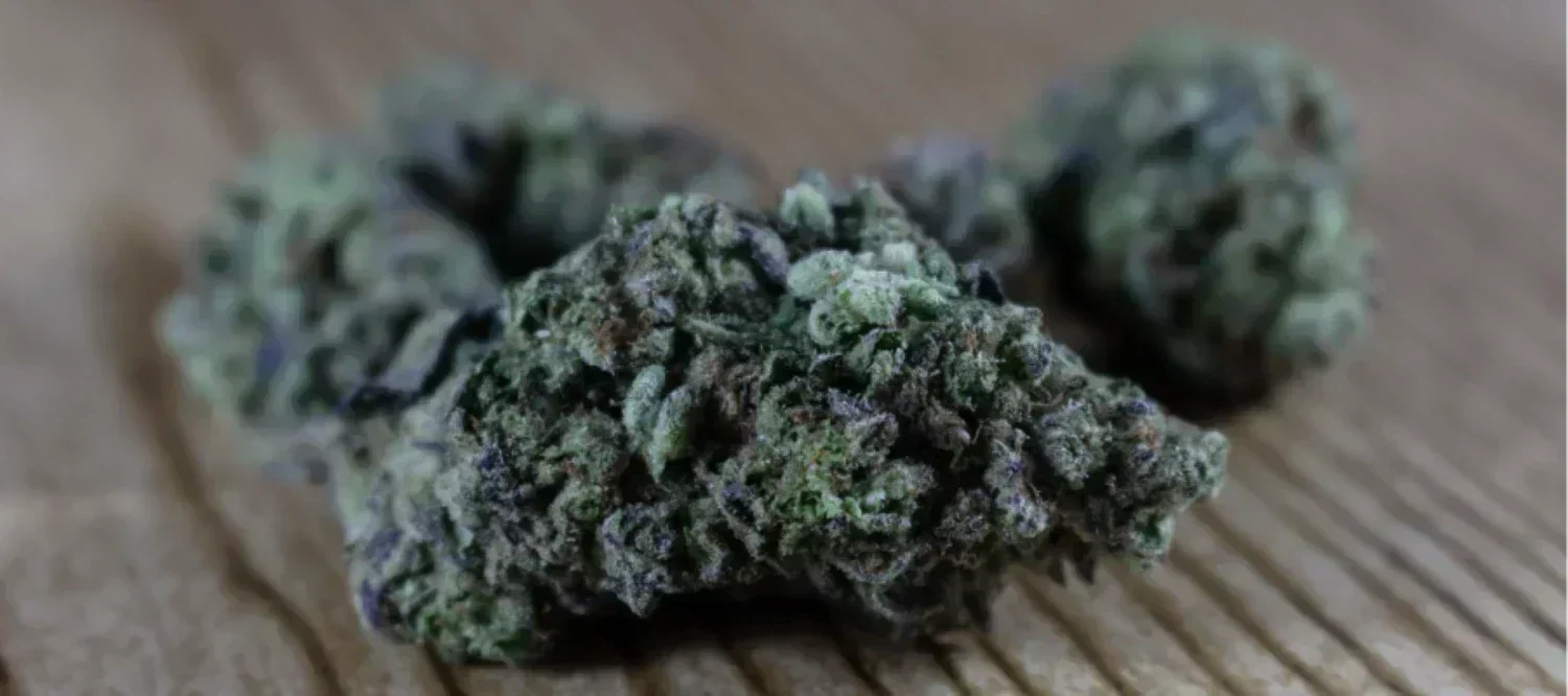 Blue Dream Cannabisblüte