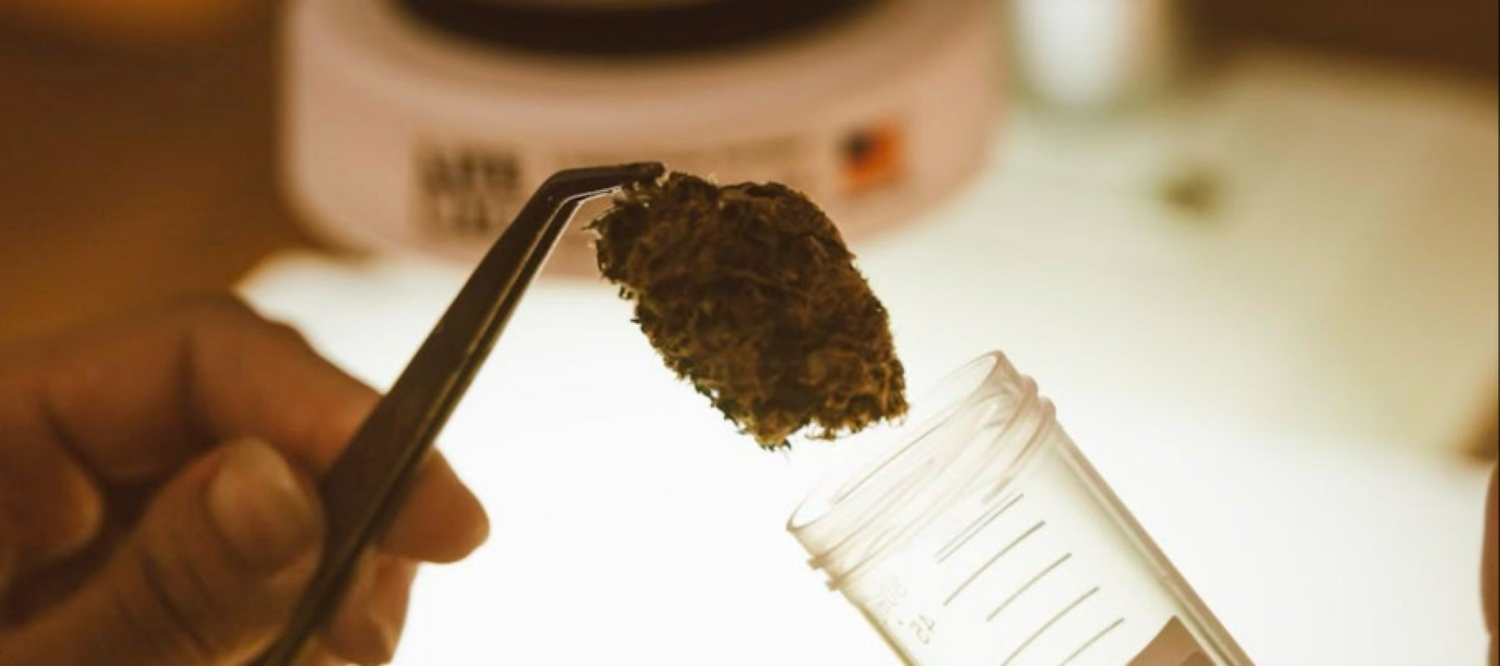 THC-Tester: Methoden, Genauigkeit und Grenzen im Überblick