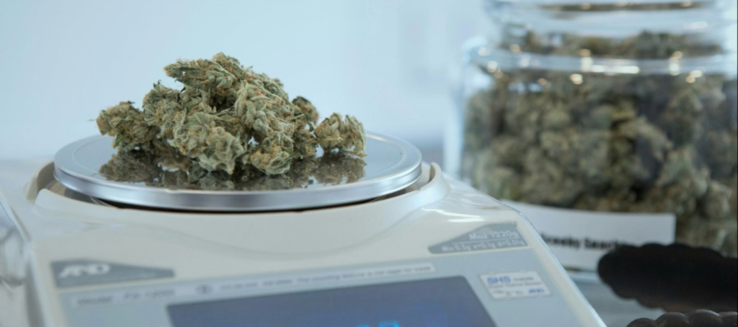 Cannabisblüten auf einer Waage