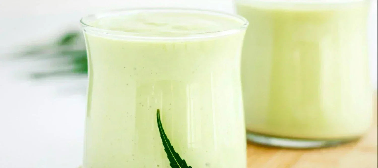 Grüner Cannabis Smoothie
