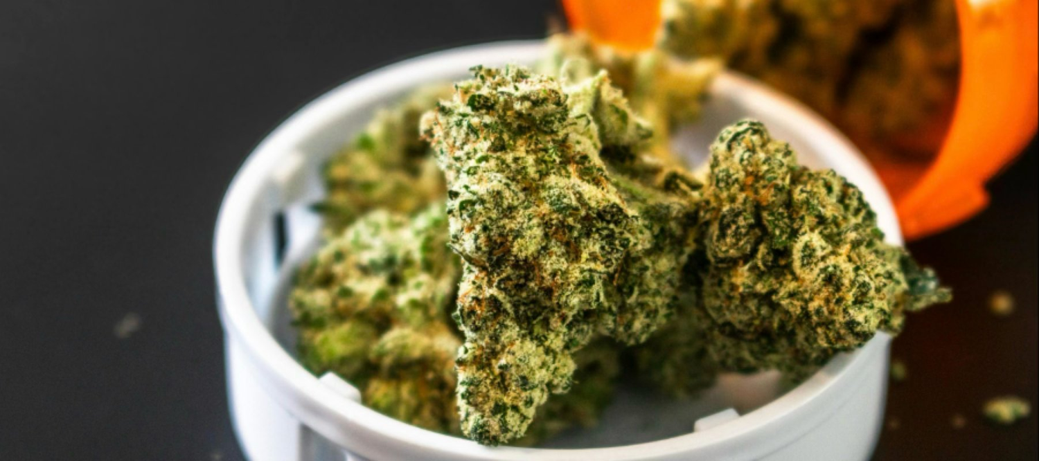 Cannabisblüten