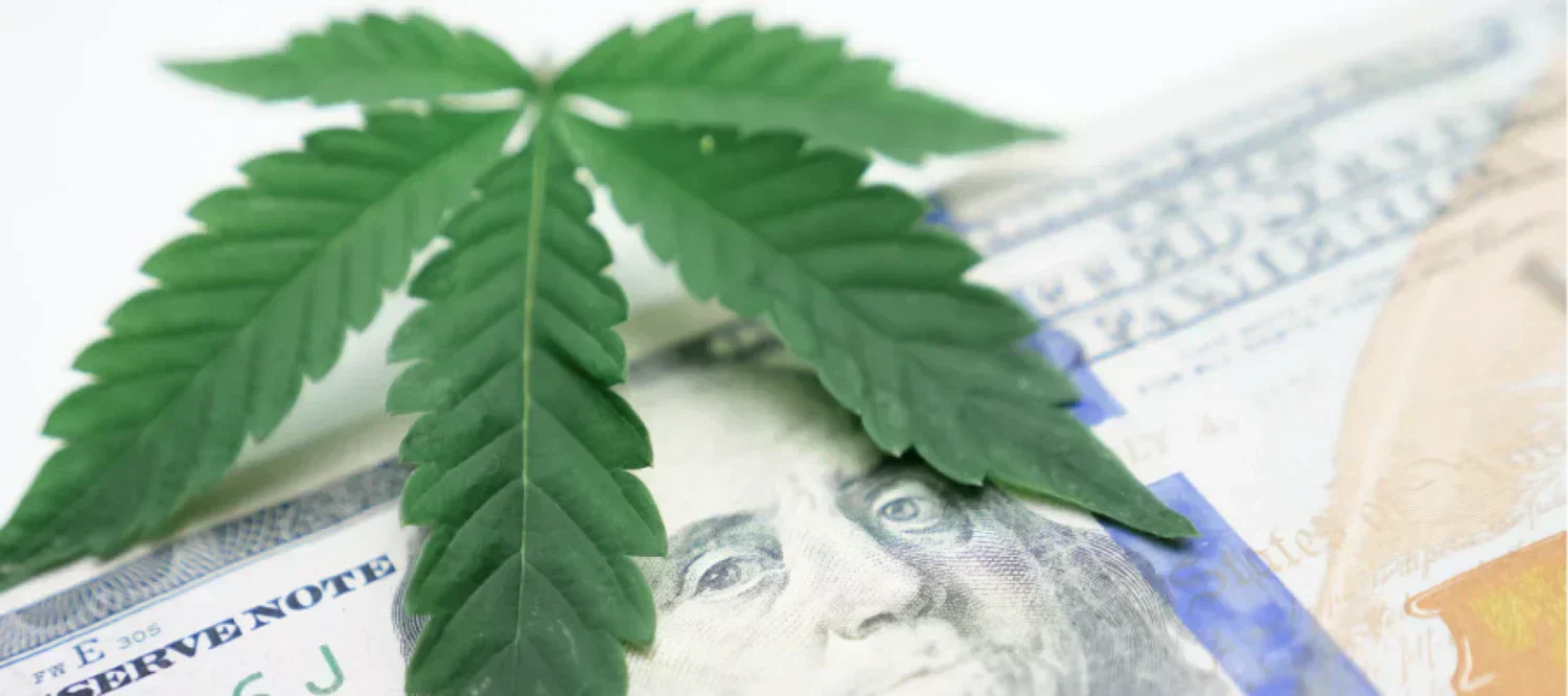 Cannabisblatt auf Dollarnote