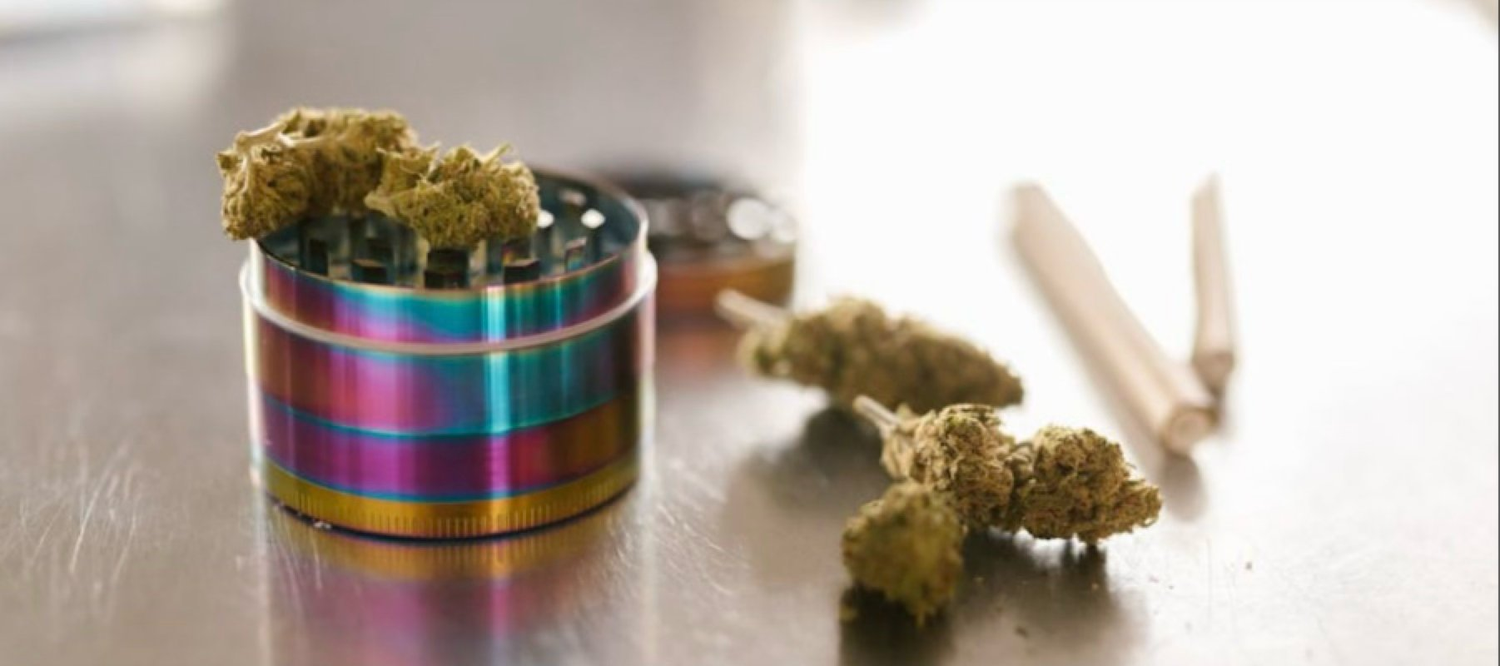 Cannabis-Wirkung – wie THC und CBD auf Gehirn, Psyche und Körper wirken