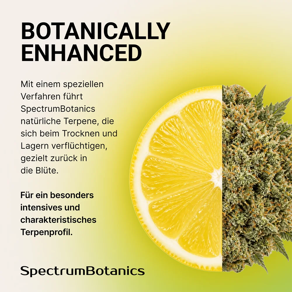SpectrumBotanics Citrus Verde Tamarindo - Mood 1