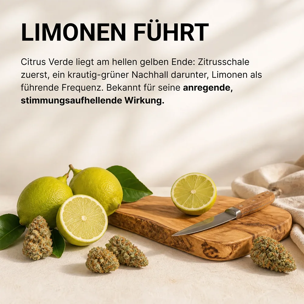 SpectrumBotanics Citrus Verde Tamarindo - Mood 2