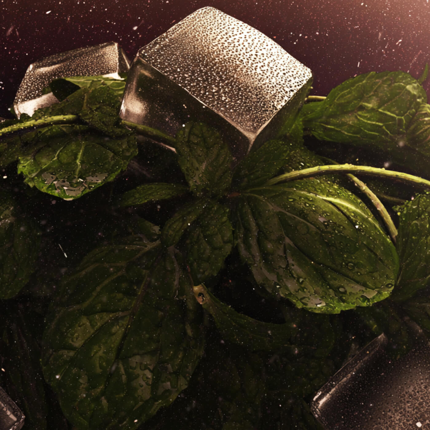 THC-Shot – Iced Mint Focus (6 Shots je 10mg / 5ml)