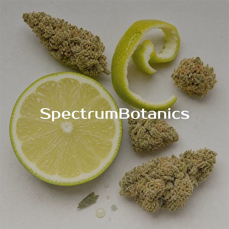 SpectrumBotanics Citrus Verde Tamarindo - Mood 4