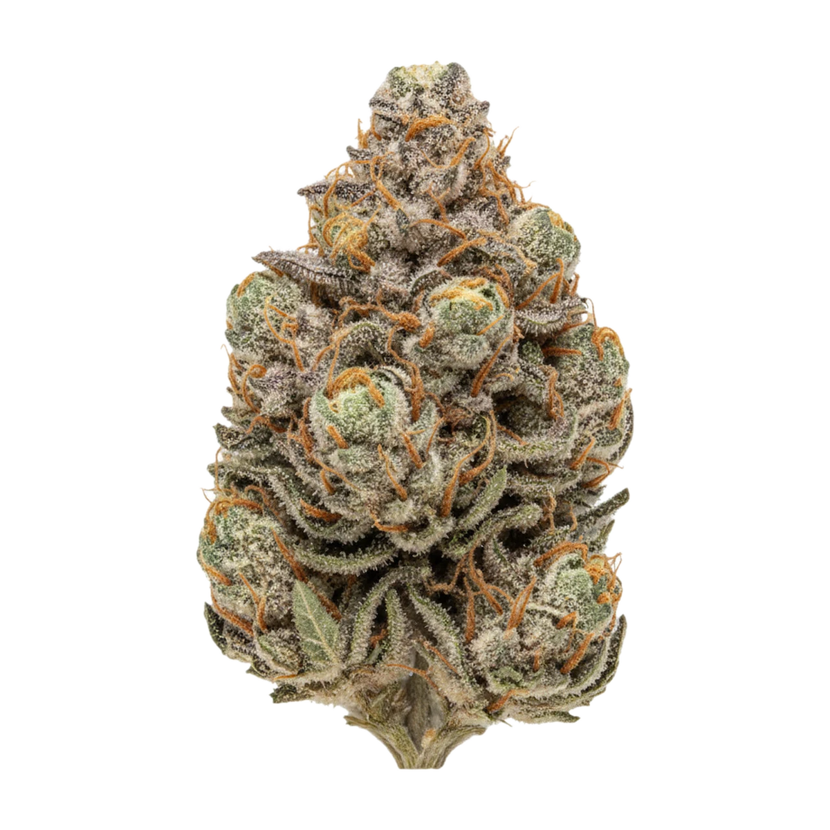 KI-generierte Illustration einer Cannabisblüte, zeigt nicht die tatsächliche Charge – Amici 31/1 AS "Atomic Sour Grapefruit"