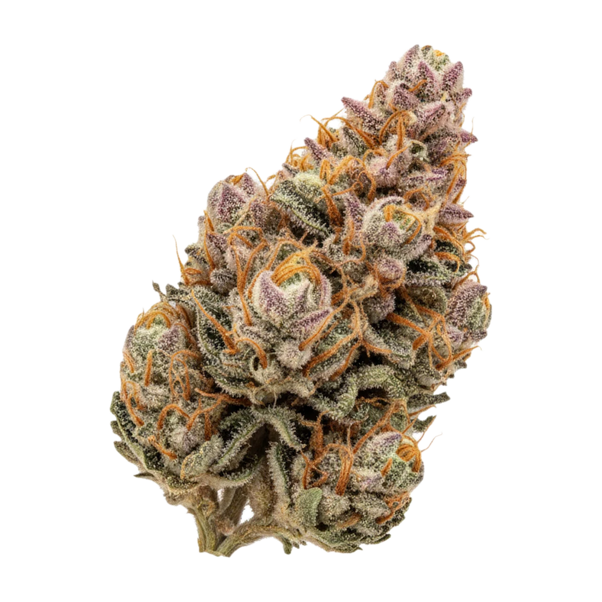 KI-generierte Illustration einer Cannabisblüte, zeigt nicht die tatsächliche Charge – 420 Compound RPV "Rose Gold Pave"