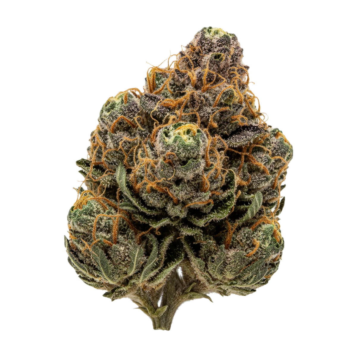 KI-generierte Illustration einer Cannabisblüte, zeigt nicht die tatsächliche Charge – 420 Evolution LCG "Lemon Cherry Gelato"