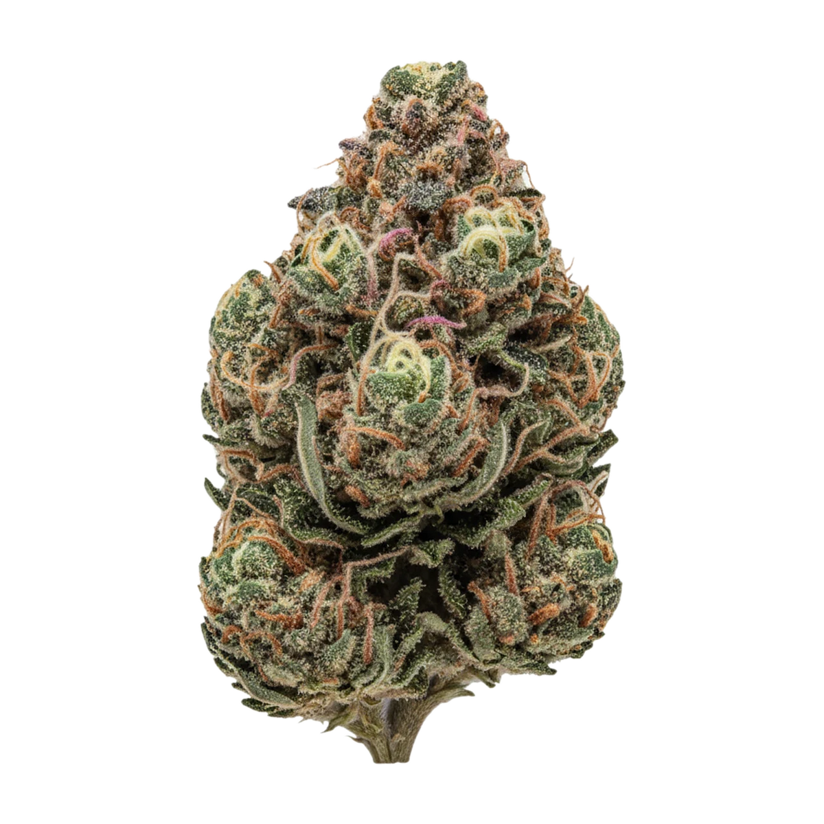 KI-generierte Illustration einer Cannabisblüte, zeigt nicht die tatsächliche Charge – 420 Evolution PVB "Private Banana"