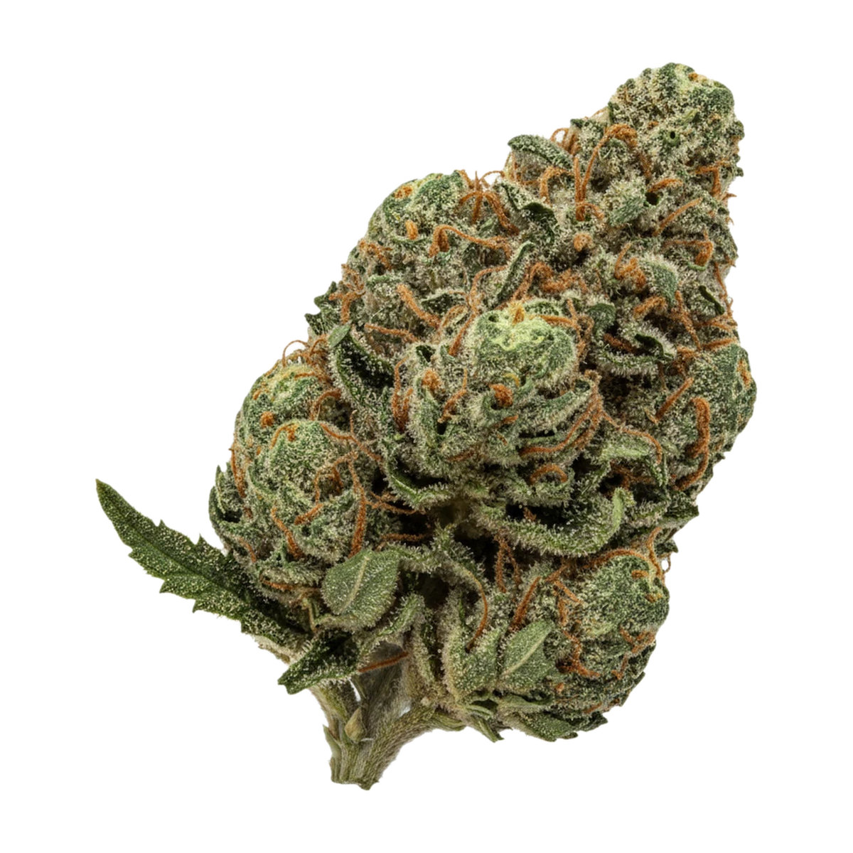 KI-generierte Illustration einer Cannabisblüte, zeigt nicht die tatsächliche Charge – 420 Evolution 25/1 CA CAP "Cap Junky"