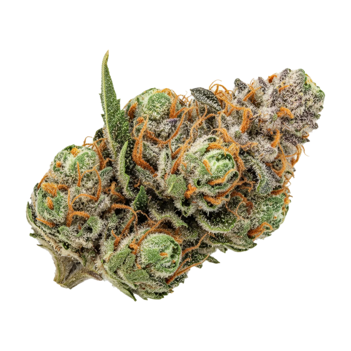 KI-generierte Illustration einer Cannabisblüte, zeigt nicht die tatsächliche Charge – 420 Evolution 25/1 MSP "Masterpiece"