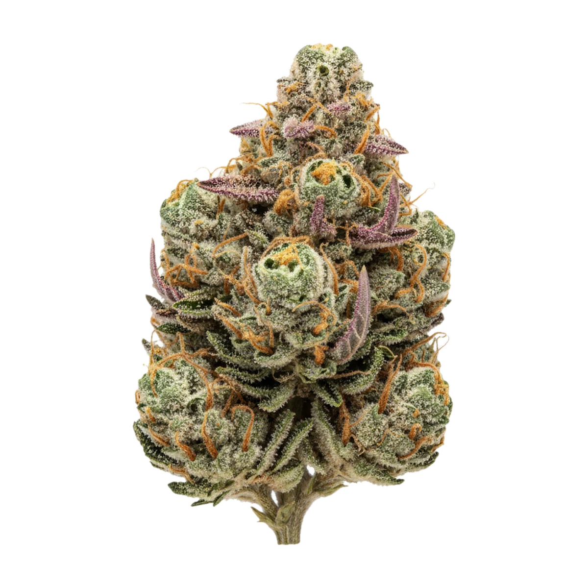 KI-generierte Illustration einer Cannabisblüte, zeigt nicht die tatsächliche Charge – 420 Evolution 25/1 UNC "Unicorn Cake"