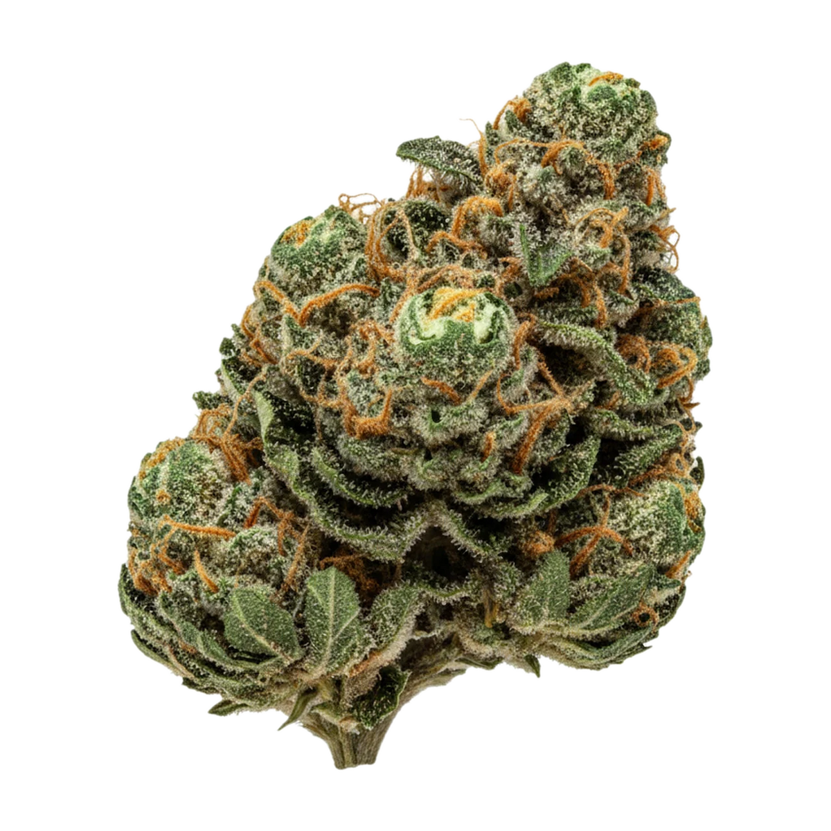 KI-generierte Illustration einer Cannabisblüte, zeigt nicht die tatsächliche Charge – 420 Evolution 27/1 CA MGD "Magic Gum Drop"