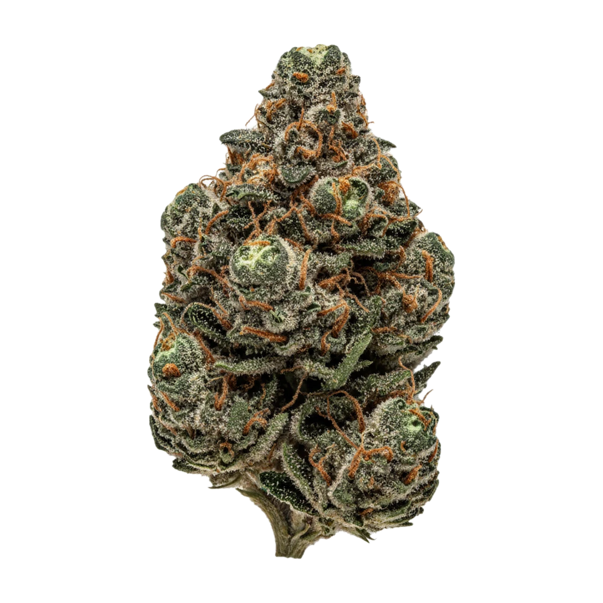 KI-generierte Illustration einer Cannabisblüte, zeigt nicht die tatsächliche Charge – 420 Evolution 30/1 CA FFC "Frosted Fruit Cake"