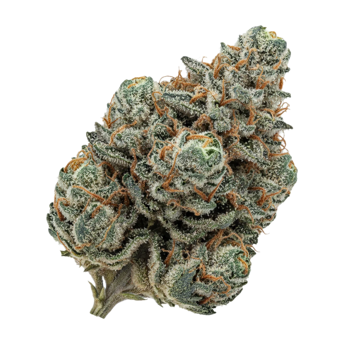 KI-generierte Illustration einer Cannabisblüte, zeigt nicht die tatsächliche Charge – 420 Natural 30/1 TGO "Triangle Octane"