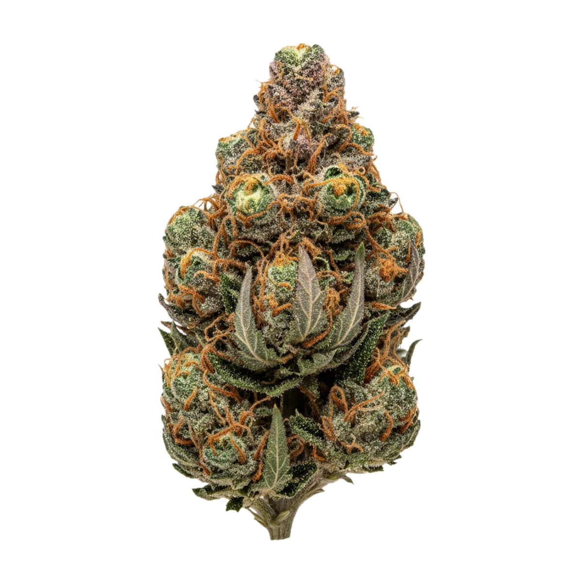 KI-generierte Illustration einer Cannabisblüte, zeigt nicht die tatsächliche Charge – 420 Natural TRP "Tropicana Cookies"