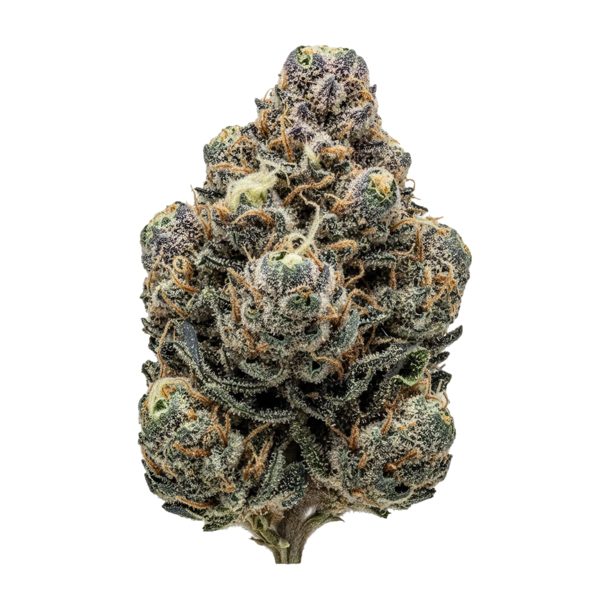 KI-generierte Illustration einer Cannabisblüte, zeigt nicht die tatsächliche Charge – 420 Natural 25/1 GG4 "Gorilla Glue"