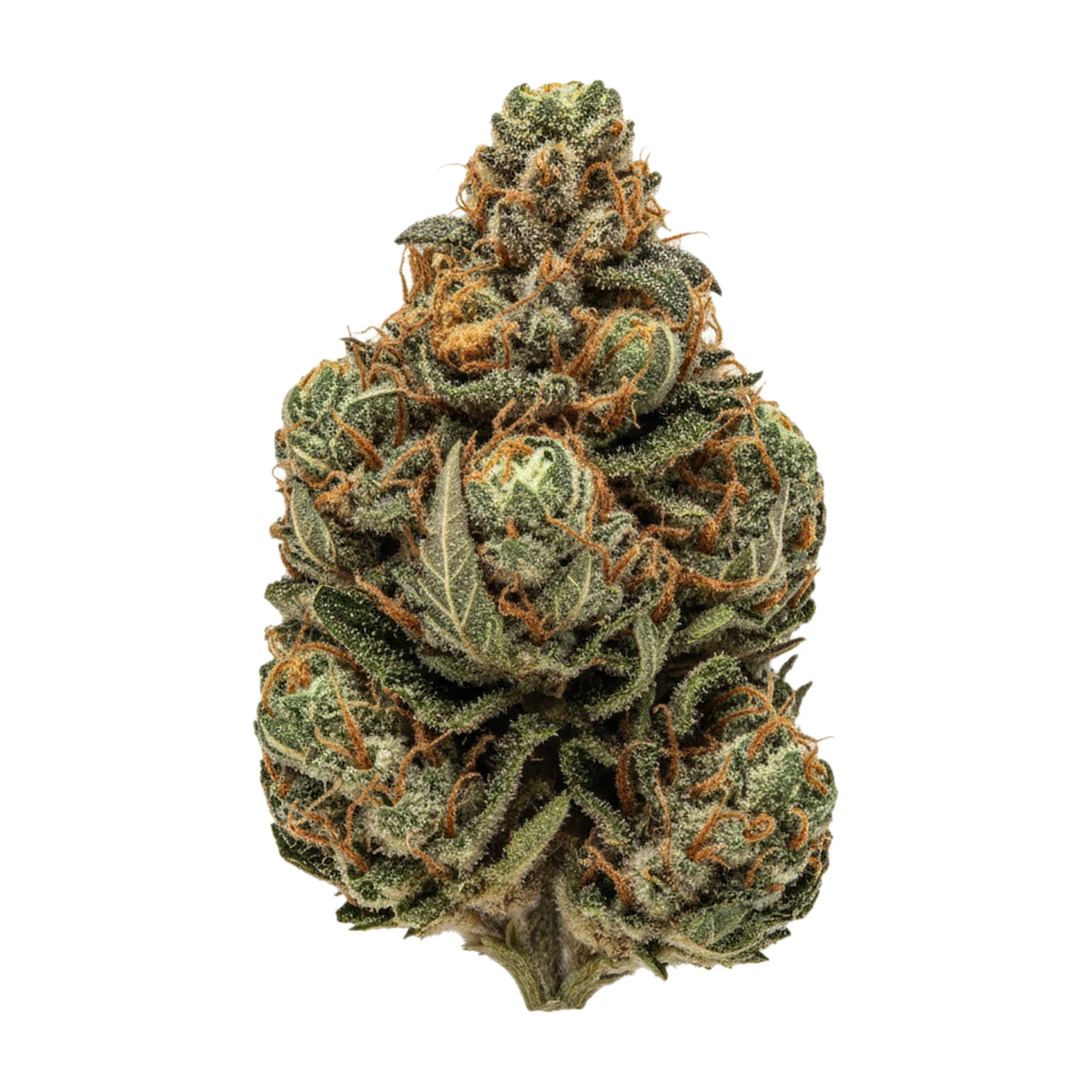KI-generierte Illustration einer Cannabisblüte, zeigt nicht die tatsächliche Charge – 420 Sungrown 22/1 ZRP "Zour Apple"