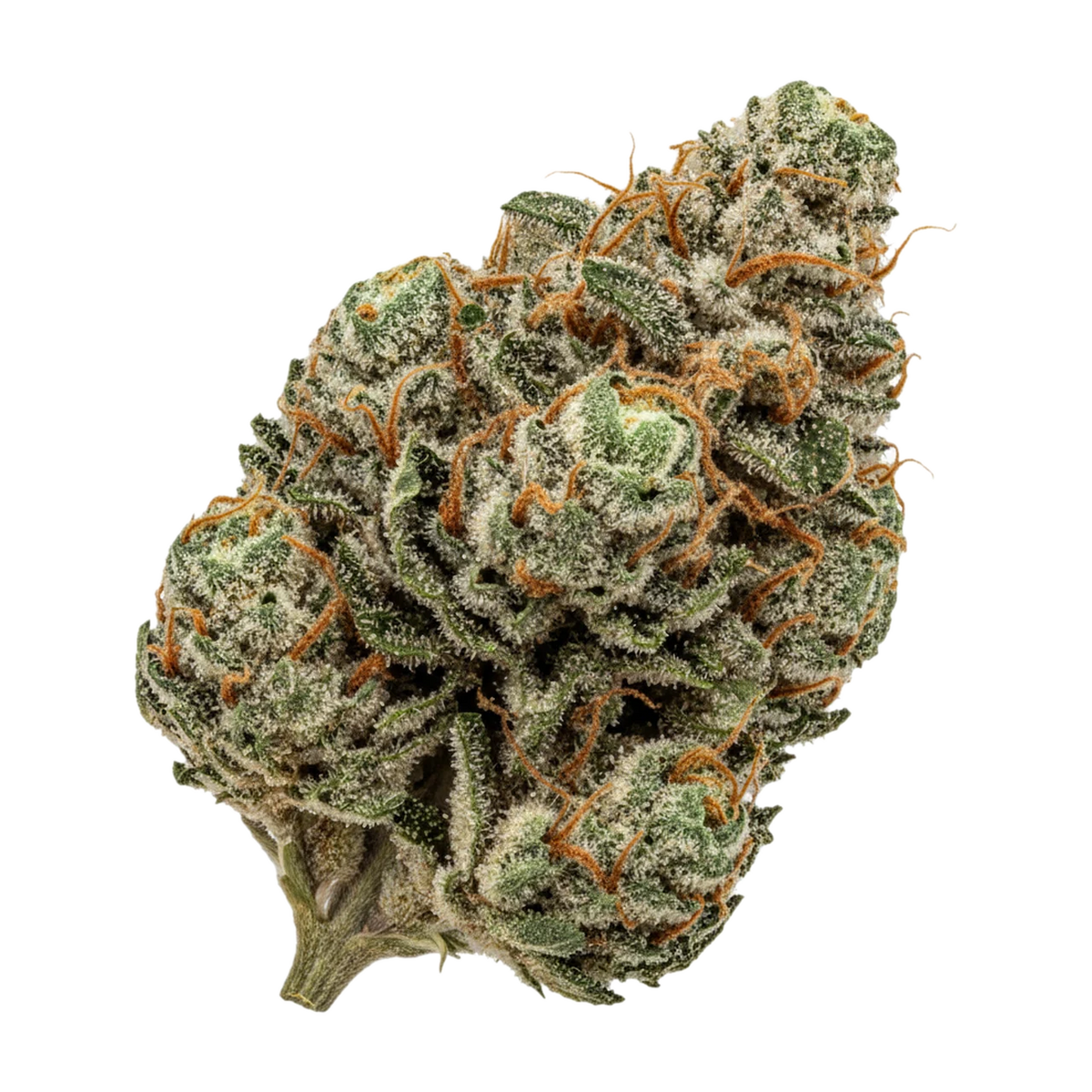 KI-generierte Illustration einer Cannabisblüte, zeigt nicht die tatsächliche Charge – 420 Sungrown LLY "Legendary Larry"