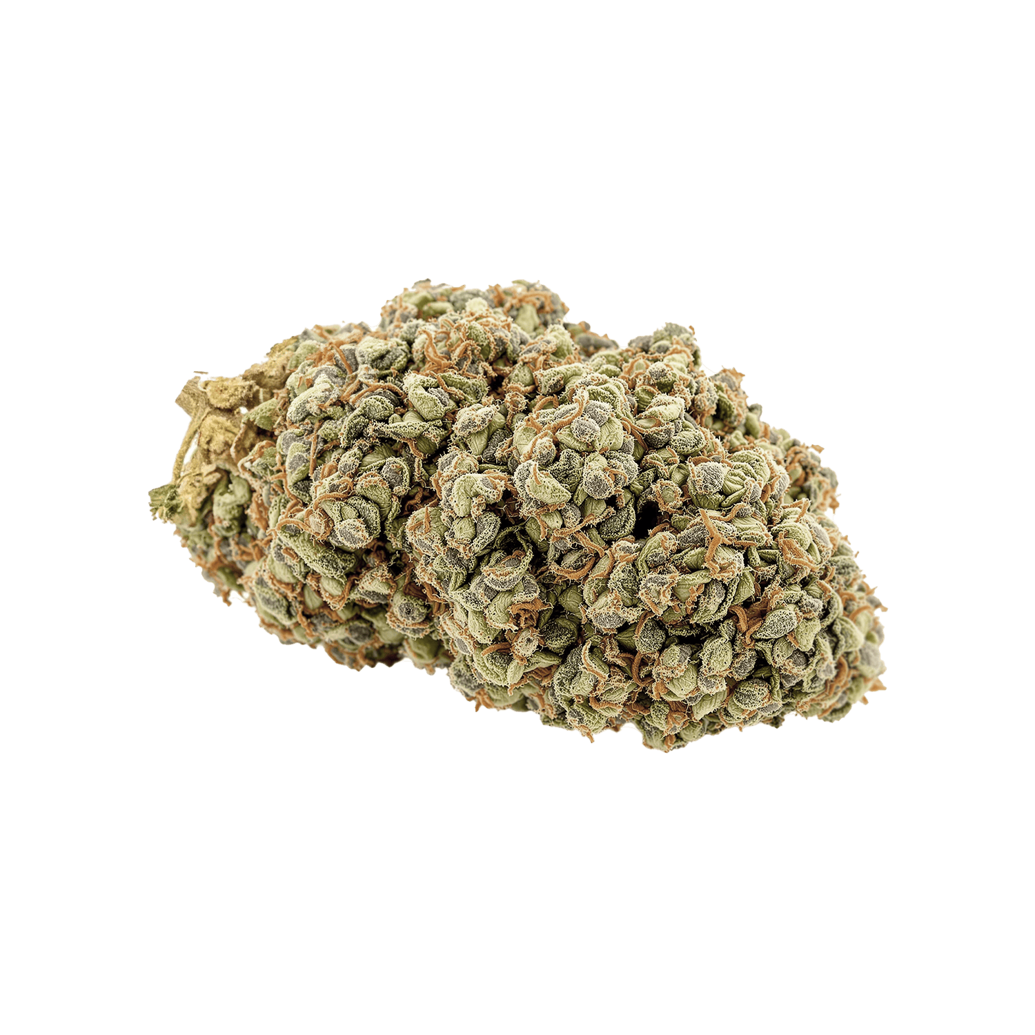 avaay Signature 28/1 GPM "Gun Powder Milkshake"