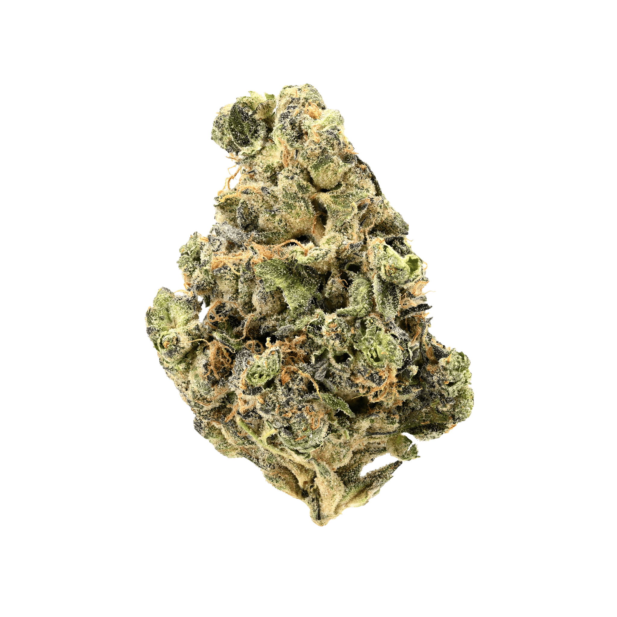 Luana 20/1 GSC "Girl Scout Cookies"