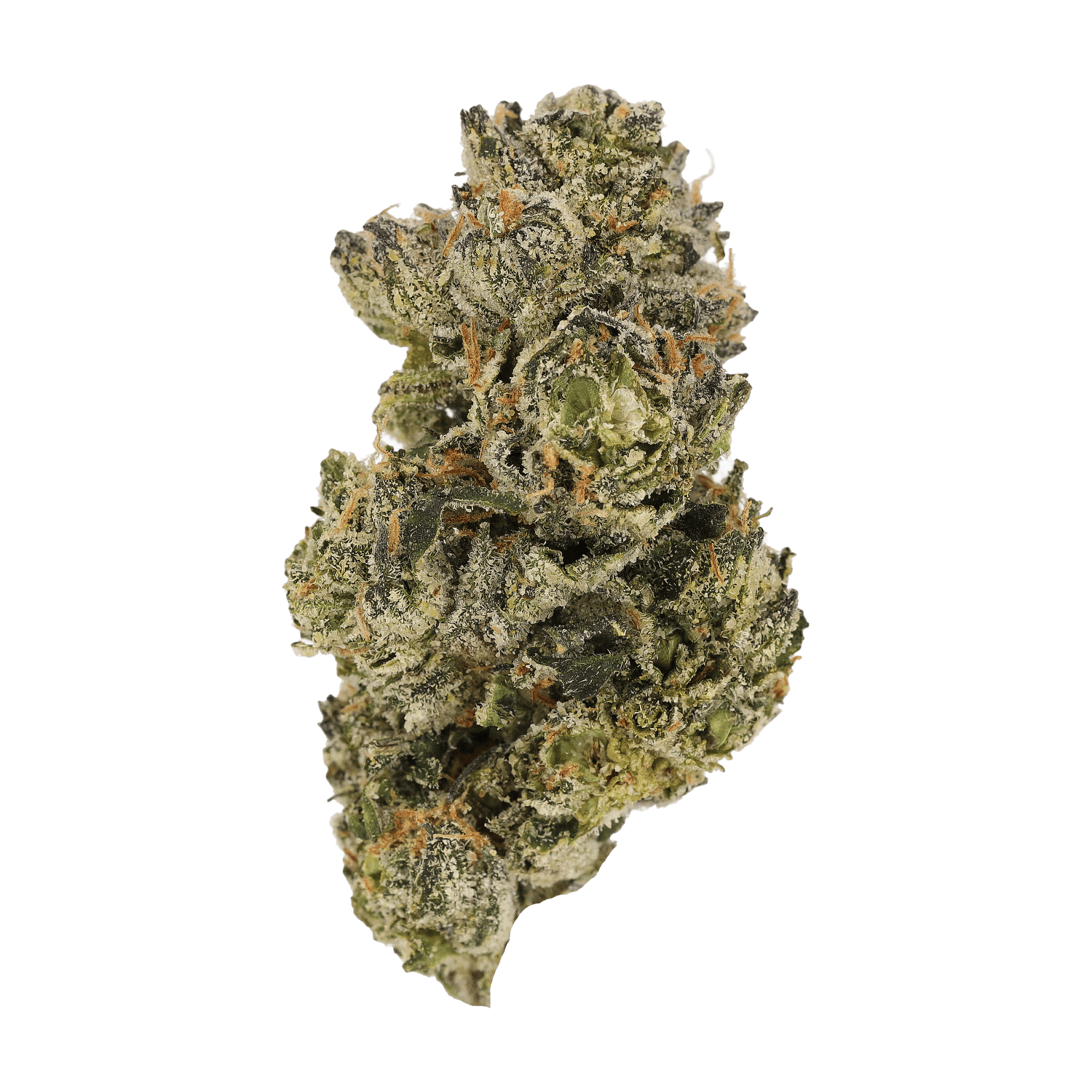 Cannamedical CM Craft 28/1 "Midnight Lotus"
