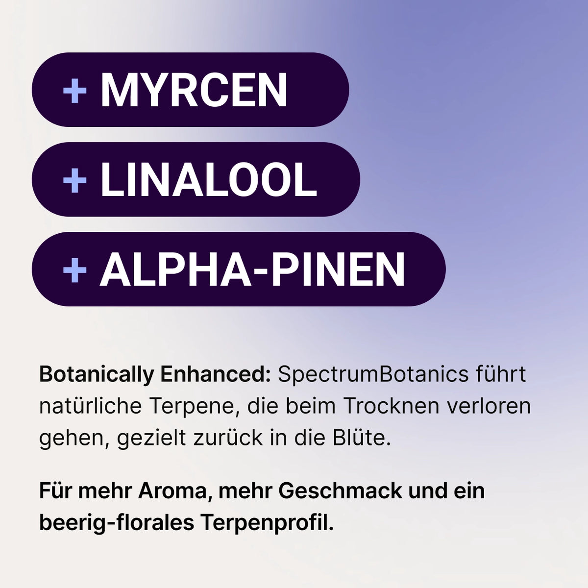 SpectrumBotanics Blu Berry - Mood 2