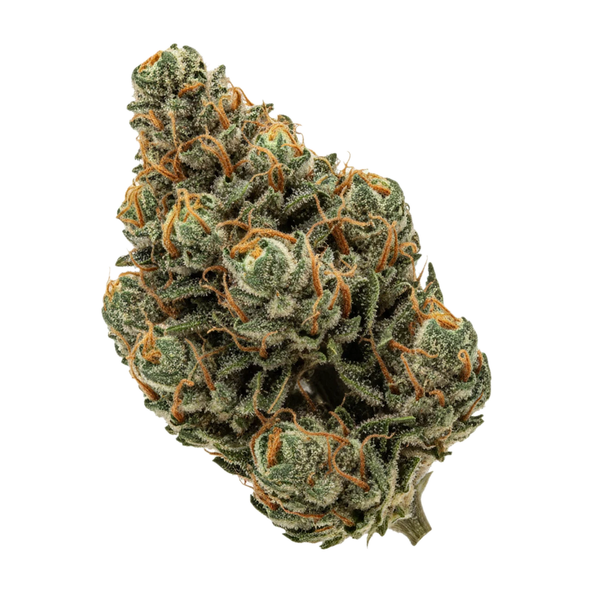 KI-generierte Illustration einer Cannabisblüte, zeigt nicht die tatsächliche Charge – Adrex 22/1 CKD "Cookies Dough"