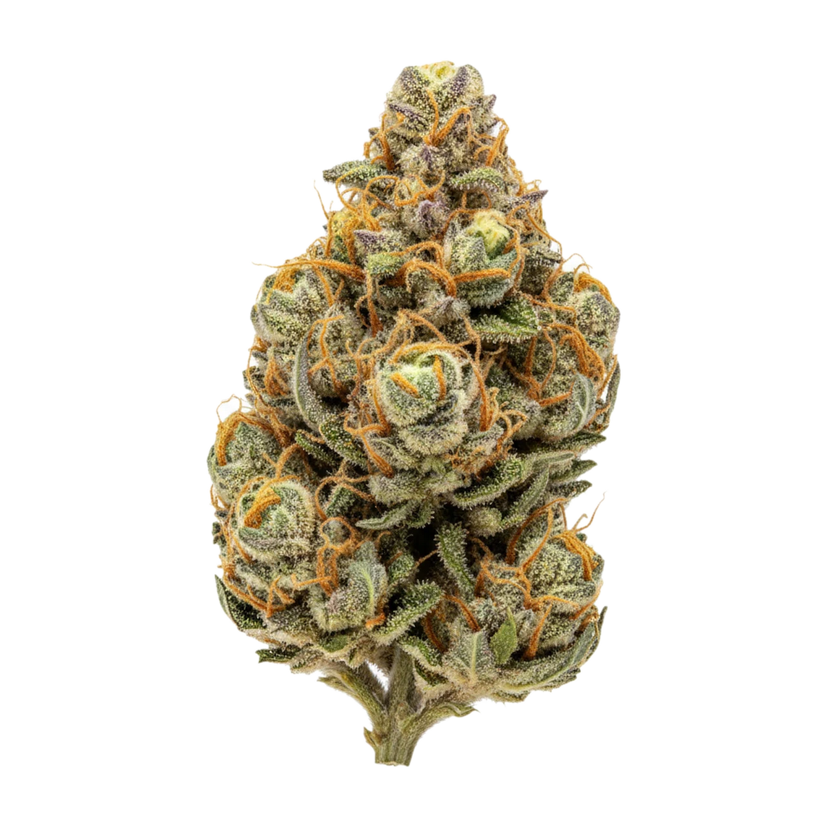 KI-generierte Illustration einer Cannabisblüte, zeigt nicht die tatsächliche Charge – All Nations DK 27/1 "Diamond Kush"