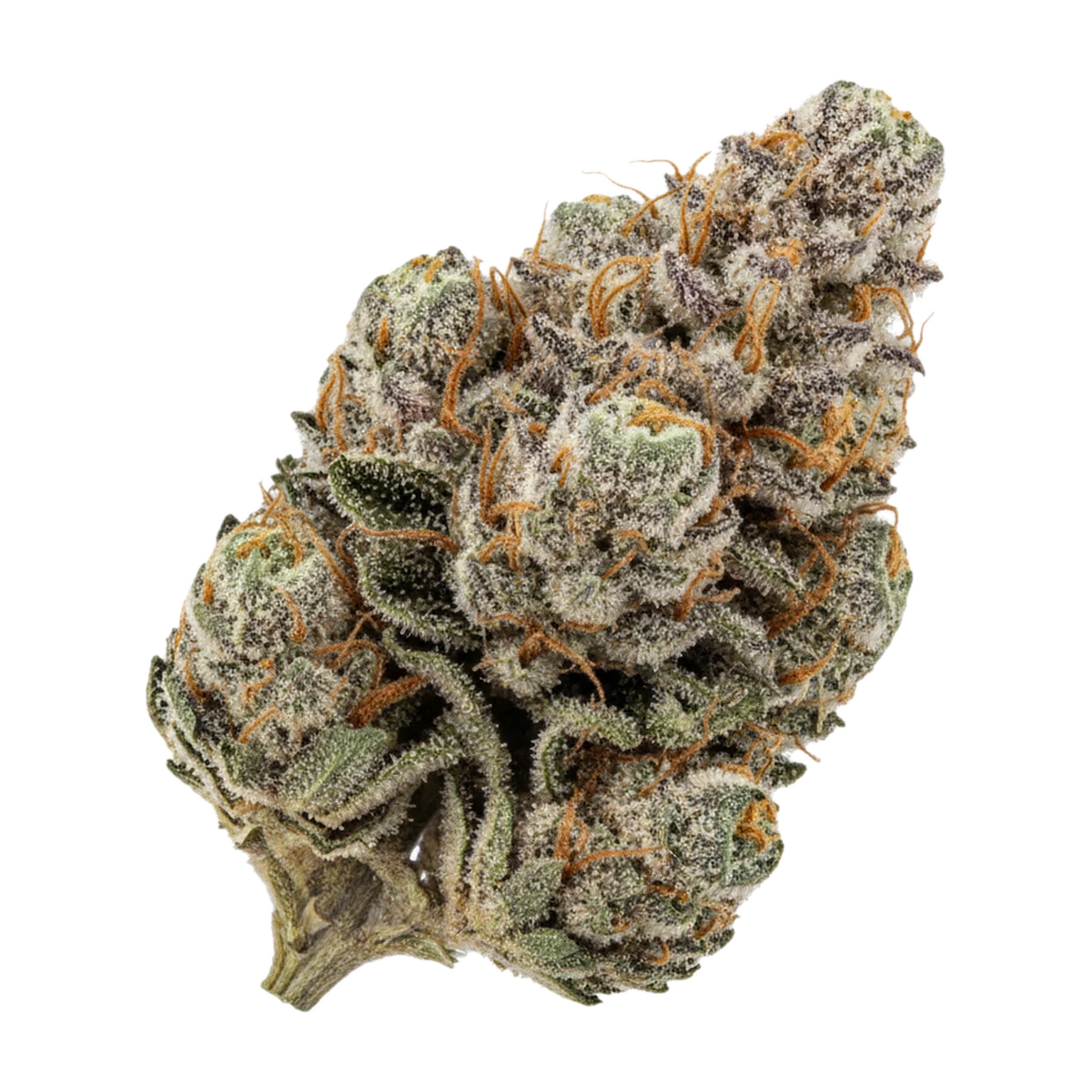 KI-generierte Illustration einer Cannabisblüte, zeigt nicht die tatsächliche Charge – Amici 27/1 AS "Atomic Sour Grapefruit"