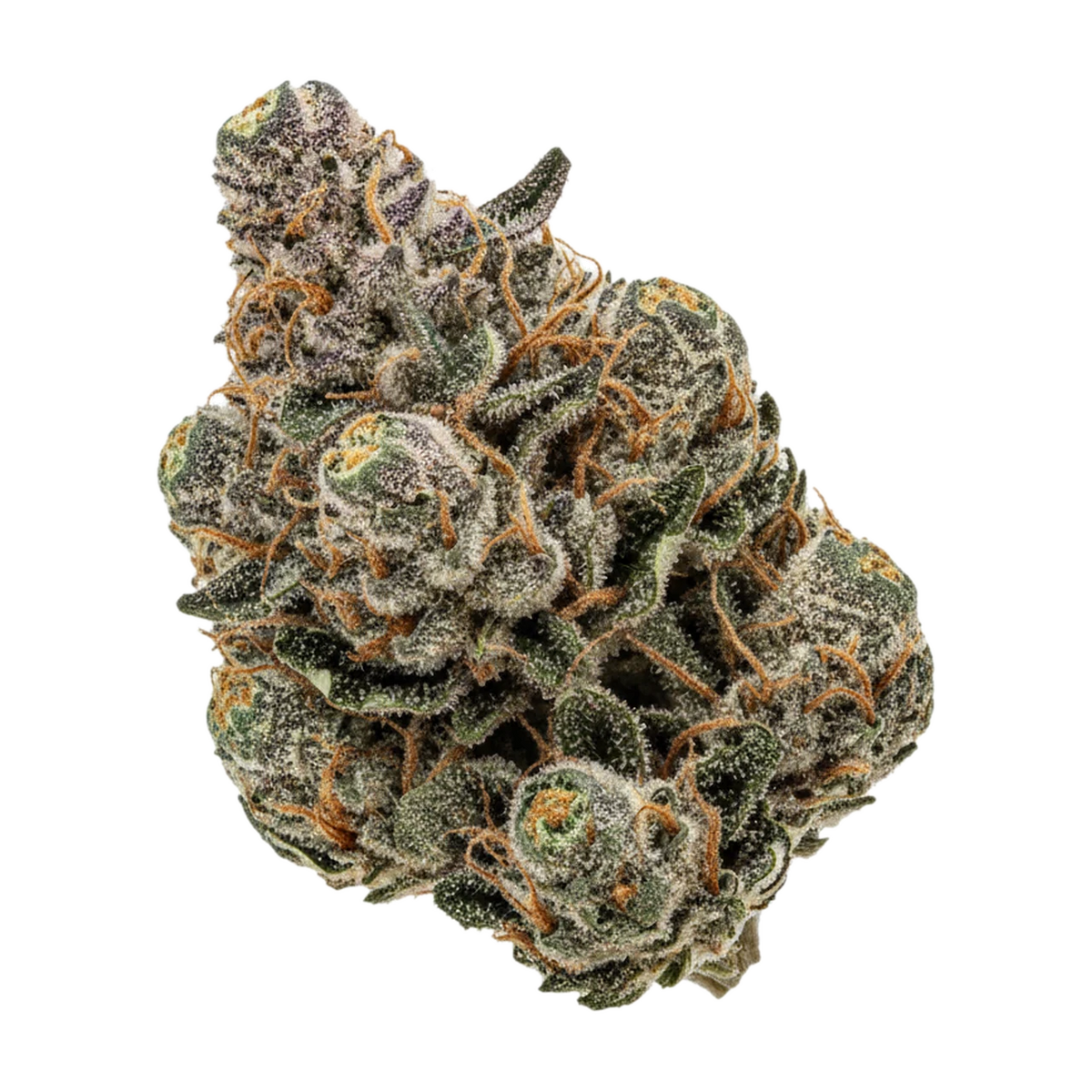 KI-generierte Illustration einer Cannabisblüte, zeigt nicht die tatsächliche Charge – Amici 28/1 GB "Godberry"