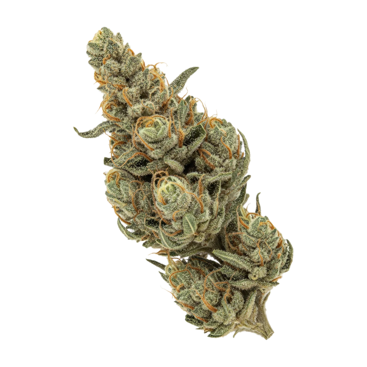 KI-generierte Illustration einer Cannabisblüte, zeigt nicht die tatsächliche Charge – avaay 23/1 RG "Royal Gorilla"