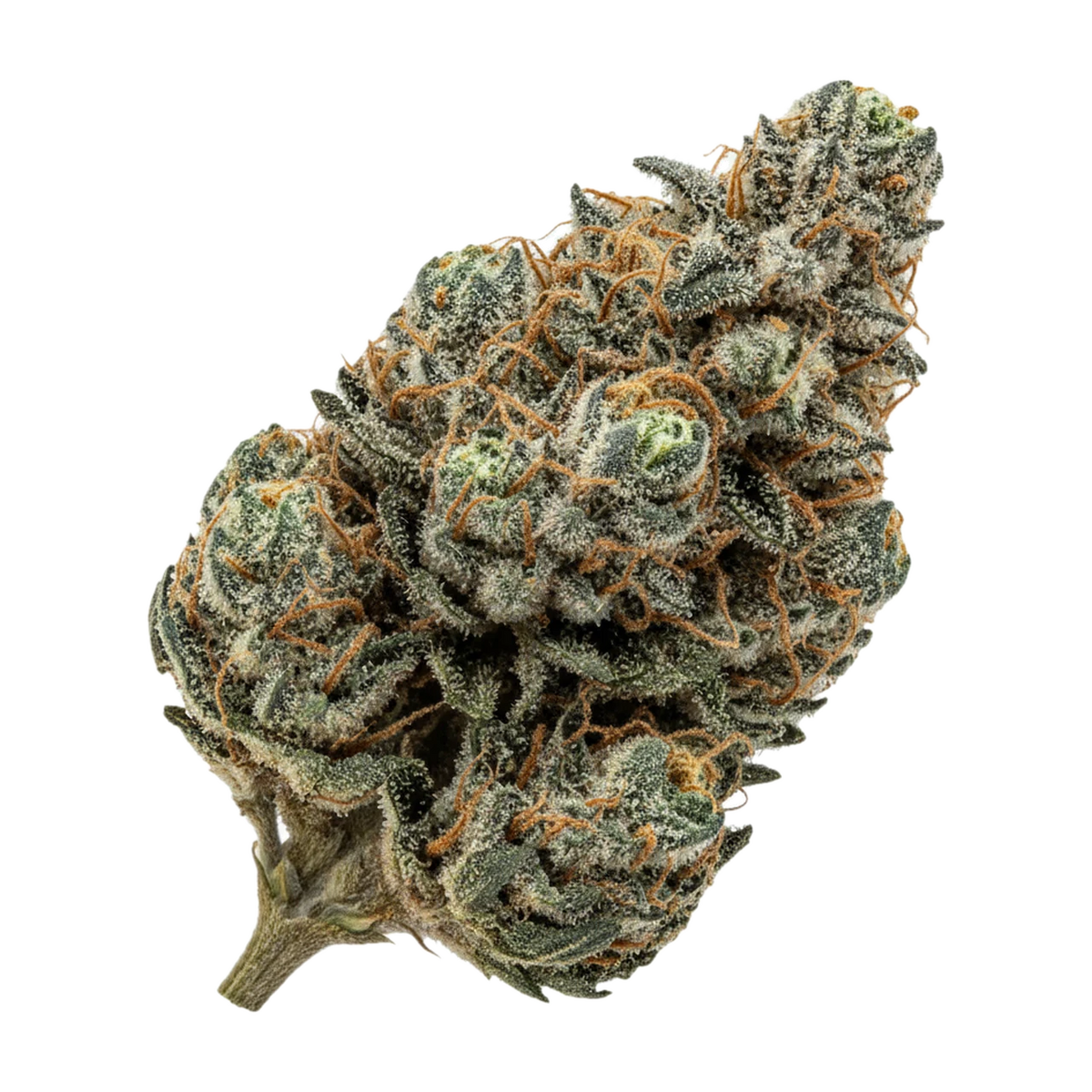 KI-generierte Illustration einer Cannabisblüte, zeigt nicht die tatsächliche Charge – avaay 24/1 BPM "Baby Pam"