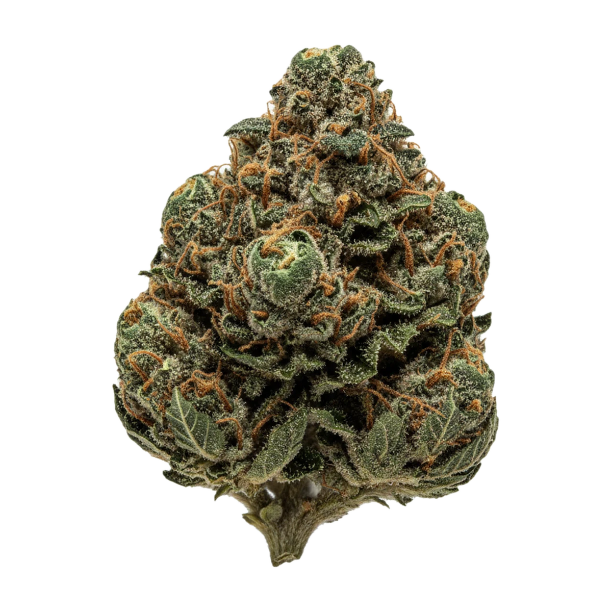 KI-generierte Illustration einer Cannabisblüte, zeigt nicht die tatsächliche Charge – avaay MIM "Midnight Mimosa"