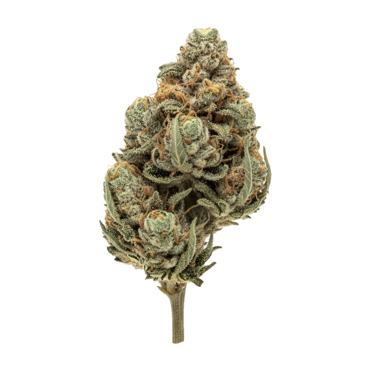 KI-generierte Illustration einer Cannabisblüte, zeigt nicht die tatsächliche Charge – avaay 26/1 SK "Sour Kush"