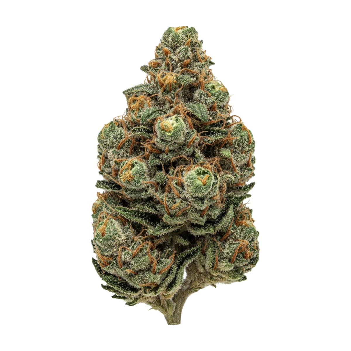 KI-generierte Illustration einer Cannabisblüte, zeigt nicht die tatsächliche Charge – avaay DiD "Do-Si-Dos"