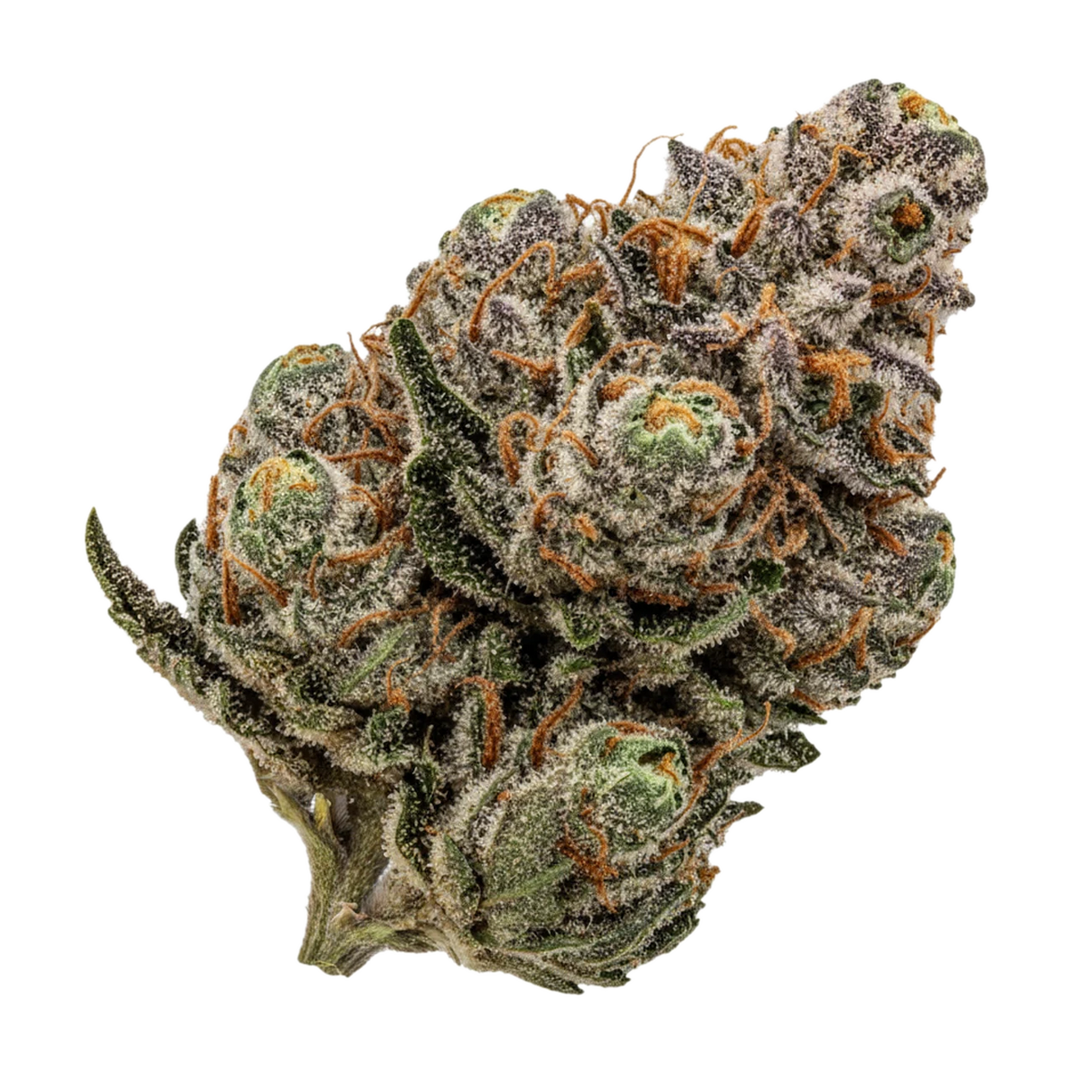KI-generierte Illustration einer Cannabisblüte, zeigt nicht die tatsächliche Charge – avaay CP "Candy Pave"