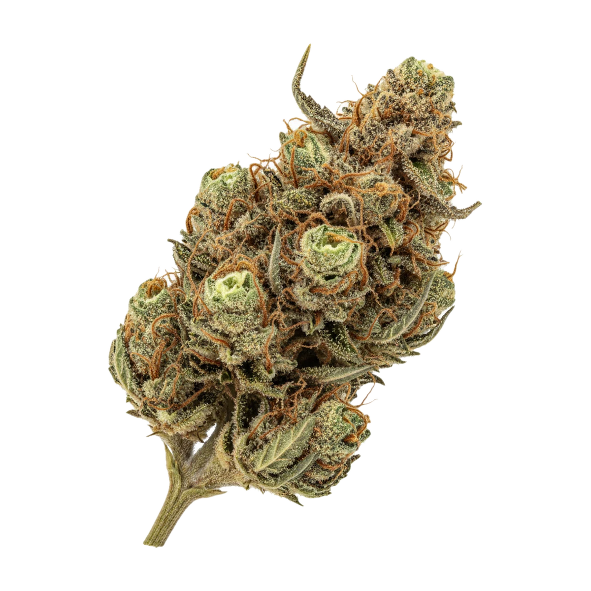 KI-generierte Illustration einer Cannabisblüte, zeigt nicht die tatsächliche Charge – avaay AHC "Amnesia Haze Cake"