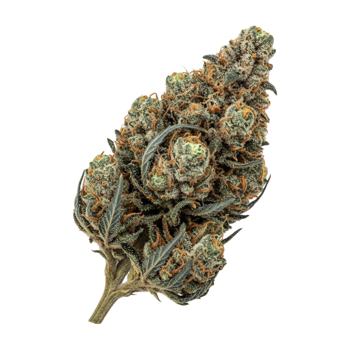 KI-generierte Illustration einer Cannabisblüte, zeigt nicht die tatsächliche Charge – avaay 5/1 THCV12