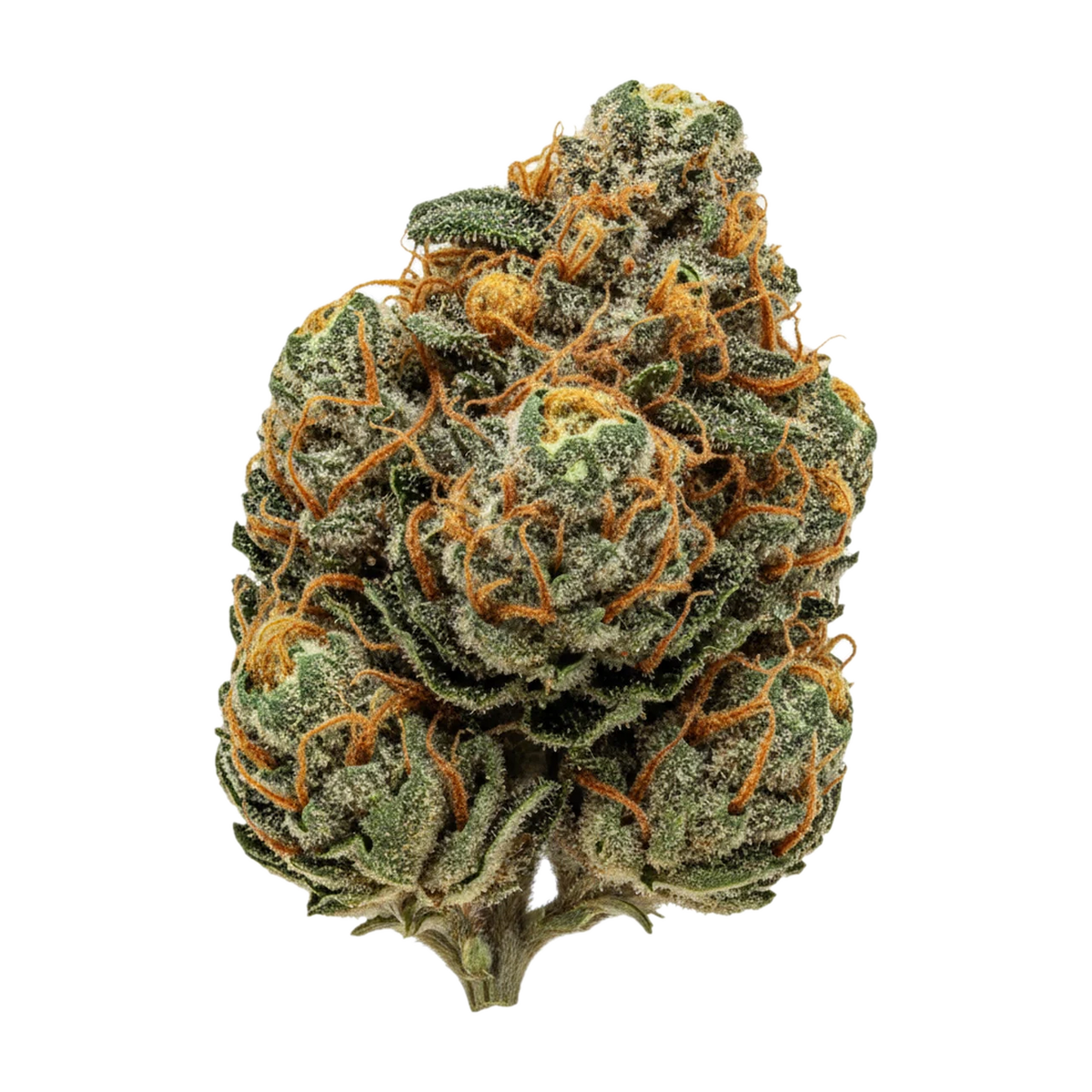 KI-generierte Illustration einer Cannabisblüte, zeigt nicht die tatsächliche Charge – avaay Signature WB "Waffle Bites"