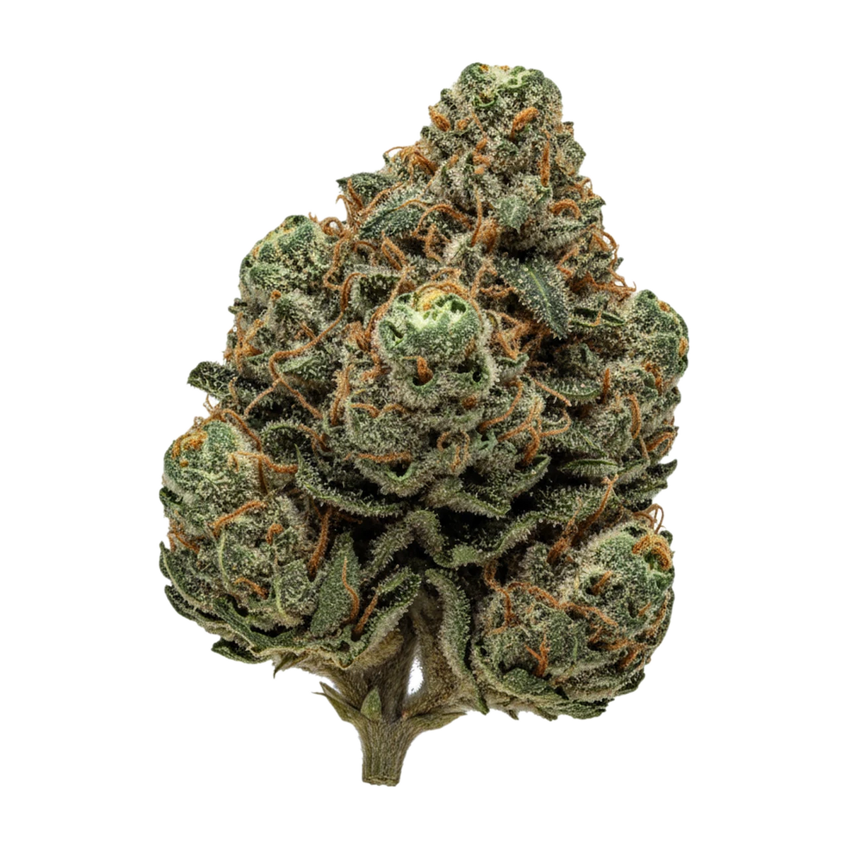 KI-generierte Illustration einer Cannabisblüte, zeigt nicht die tatsächliche Charge – Barongo 26/1 BM "Kandi Klouds Kush"