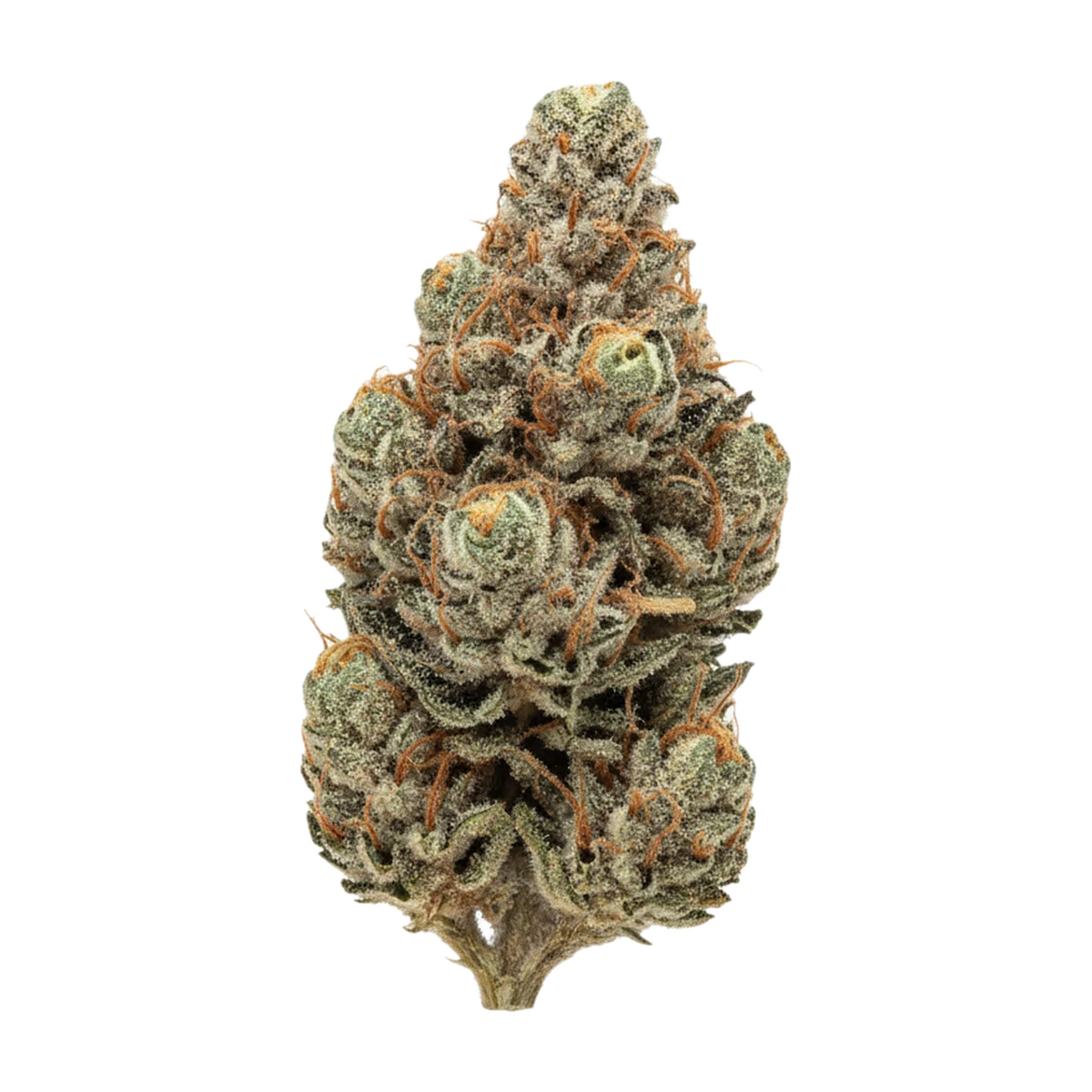 KI-generierte Illustration einer Cannabisblüte, zeigt nicht die tatsächliche Charge – Barongo 30/1 KM "Kush Mintz"