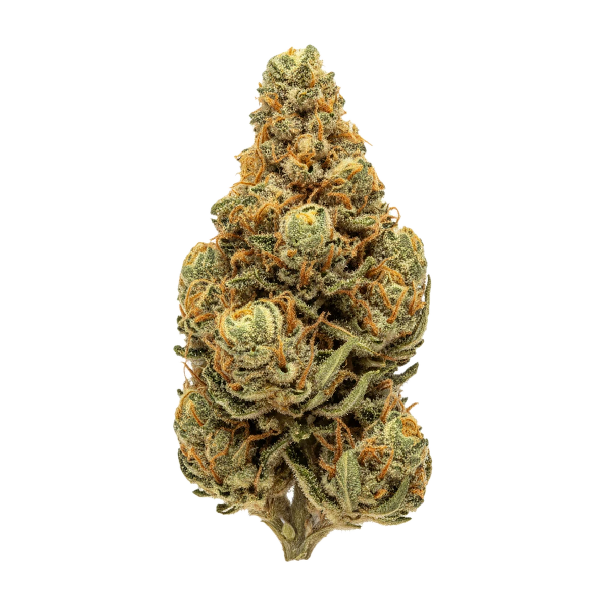 KI-generierte Illustration einer Cannabisblüte, zeigt nicht die tatsächliche Charge – Bava Med 21/1 LEM-SK "Lemon Skunk"