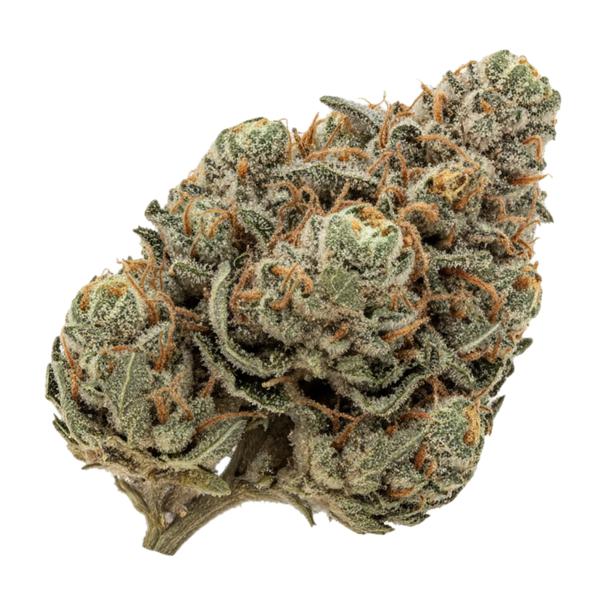KI-generierte Illustration einer Cannabisblüte, zeigt nicht die tatsächliche Charge – Bava Med 27/1 BLA-GA "Black Gas"