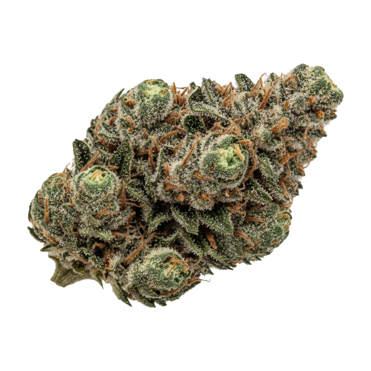 KI-generierte Illustration einer Cannabisblüte, zeigt nicht die tatsächliche Charge – Bava Med 29/1 MON-BU "Monkey Butter"
